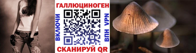 Галлюциногенные грибы Cubensis  Купить закладки  Комсомольск-на-Амуре 